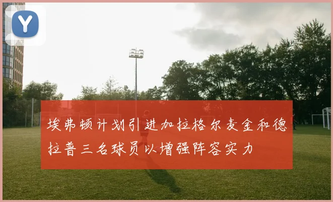 埃弗顿计划引进加拉格尔麦金和德拉普三名球员以增强阵容实力