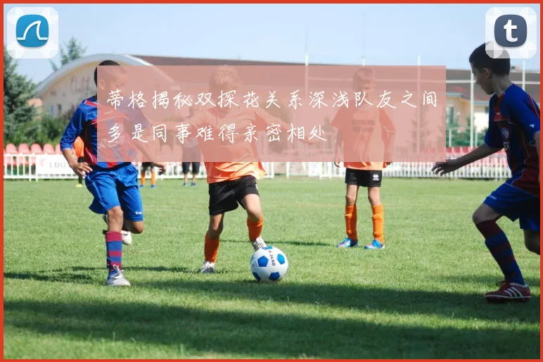 蒂格揭秘双探花关系深浅队友之间多是同事难得亲密相处